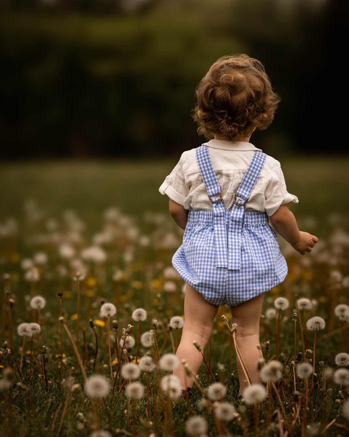 Child in a blue checkered romper standing in a field of dandelions with a blurred natural background
