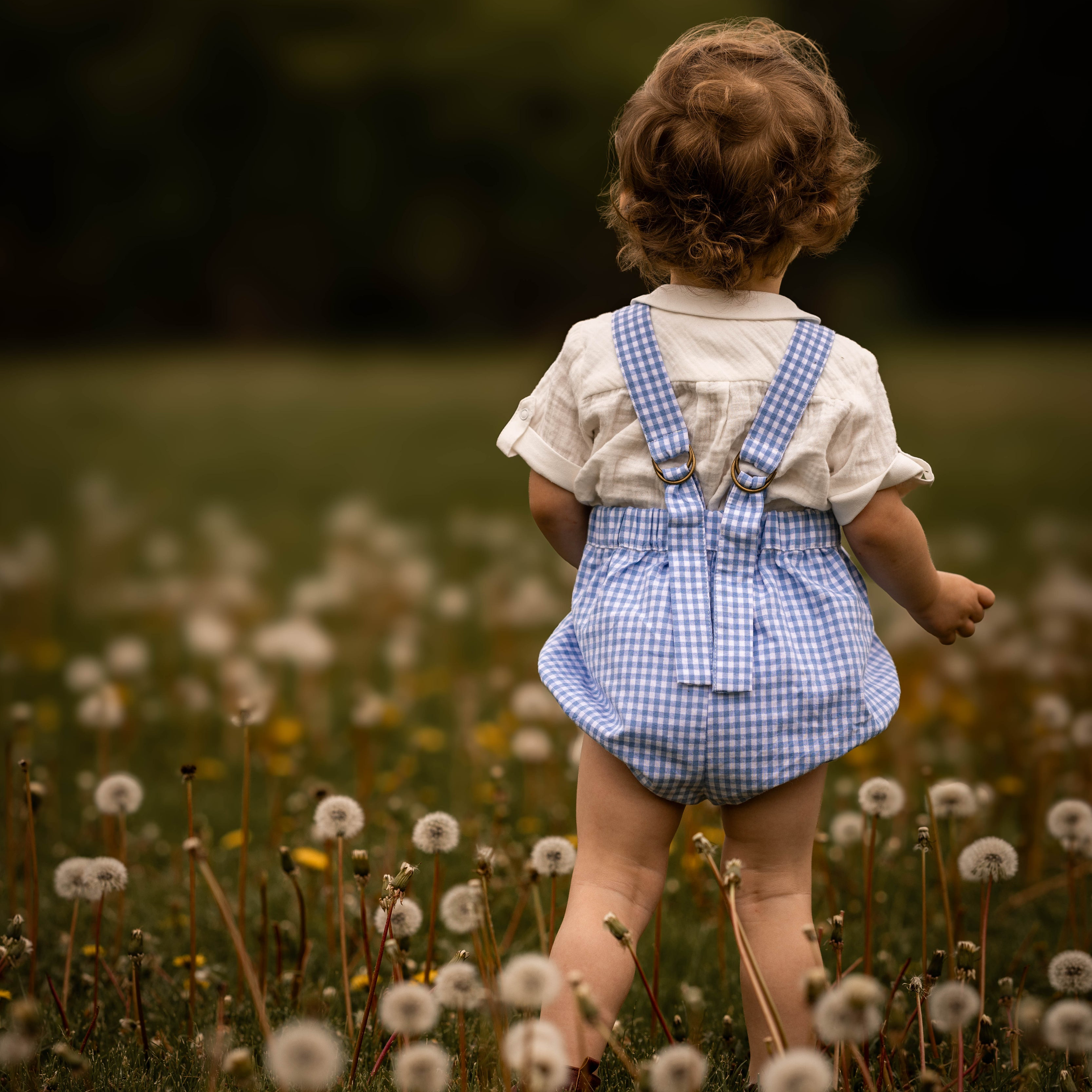 Child in a blue checkered romper standing in a field of dandelions with a blurred natural background