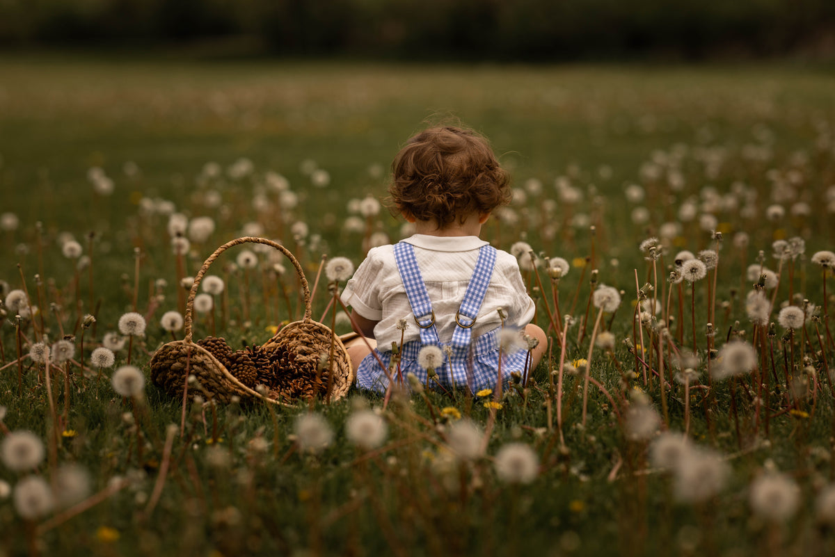 Child sitting in a field of dandelions with a basket