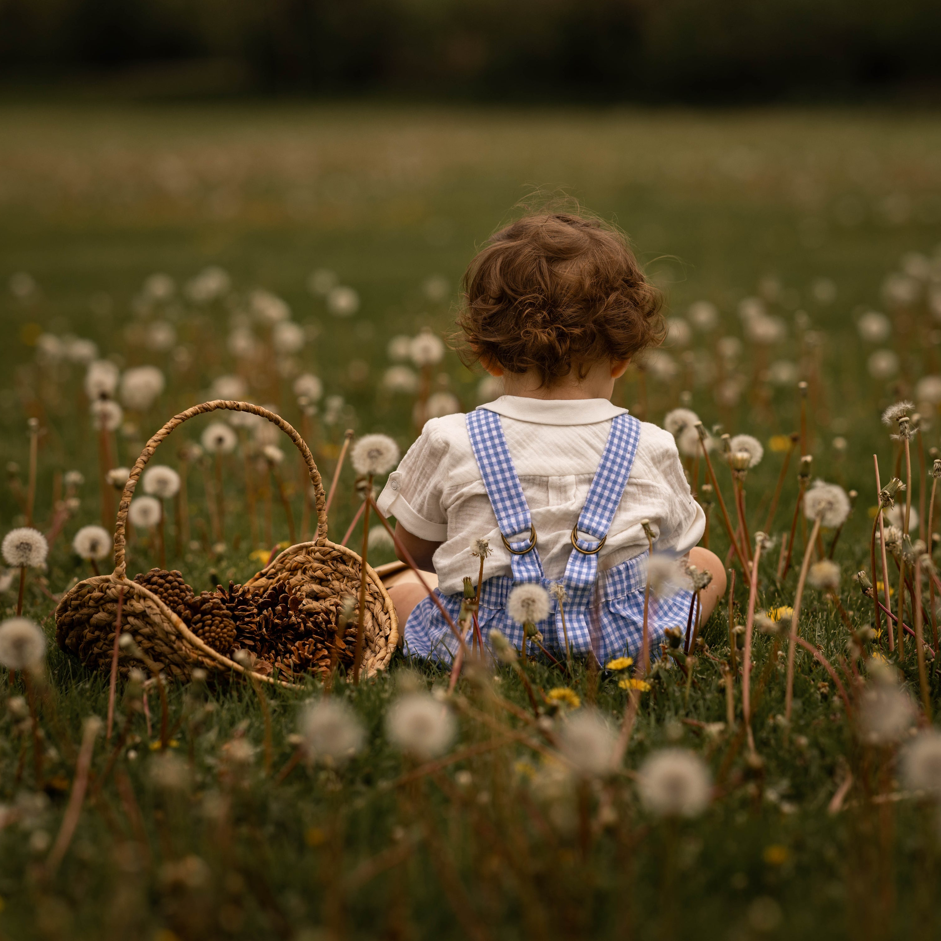 Child sitting in a field of dandelions with a basket
