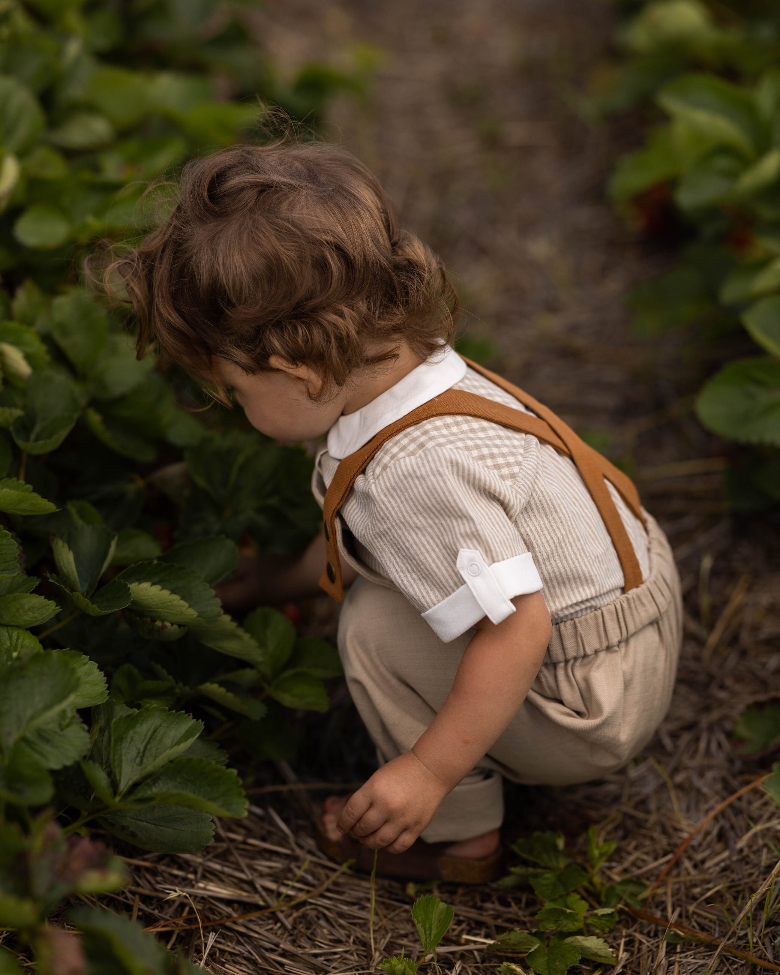 A toddler crouches in a garden path between rows of green strawberry plants, wearing a cream ribbed short-sleeve shirt with brown suspenders and beige trousers.