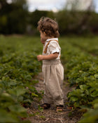 A toddler standing in a field of green plants, wearing a light beige short-sleeve shirt with brown suspenders and matching light beige pants.