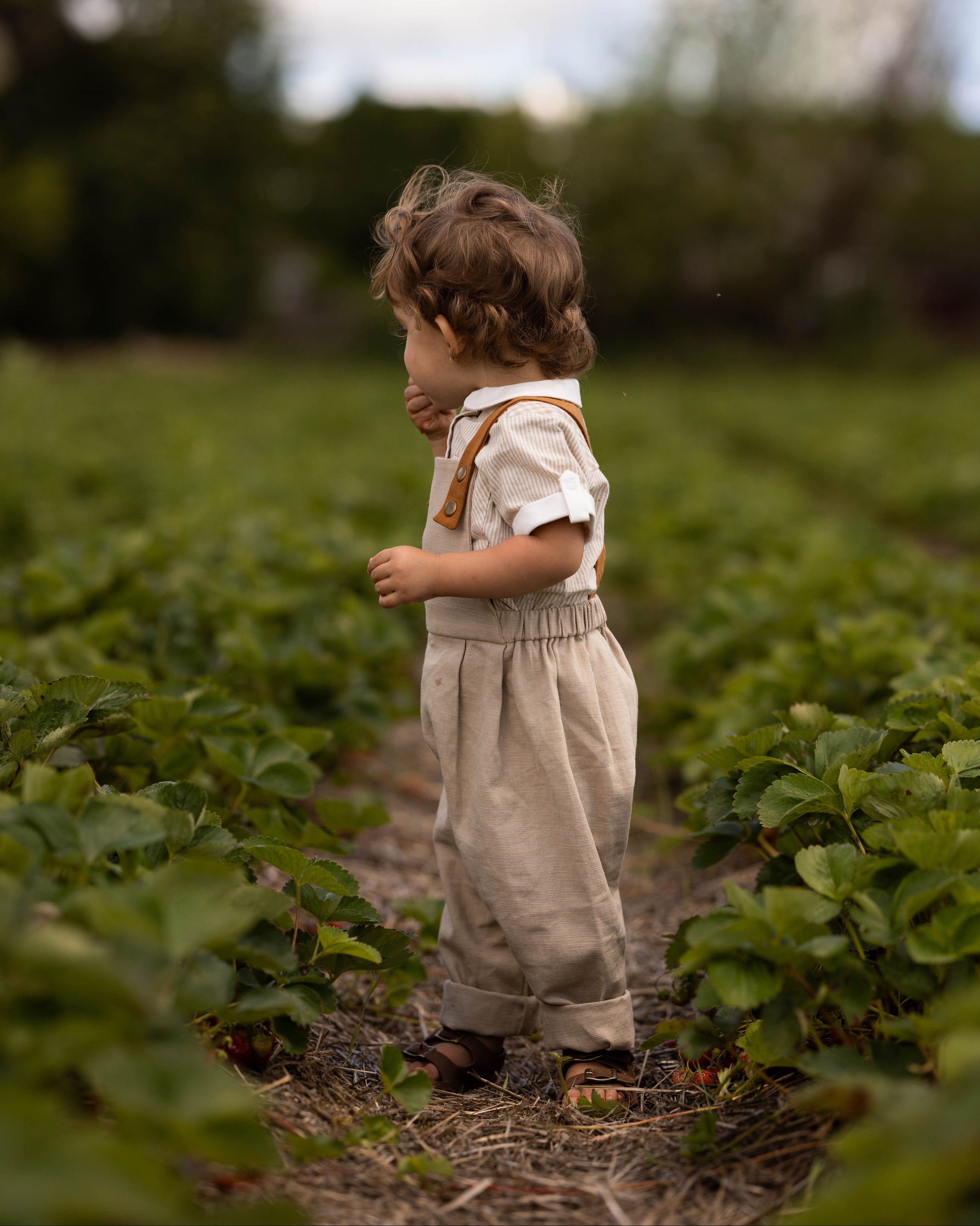 A toddler standing in a field of green plants, wearing a light beige short-sleeve shirt with brown suspenders and matching light beige pants.