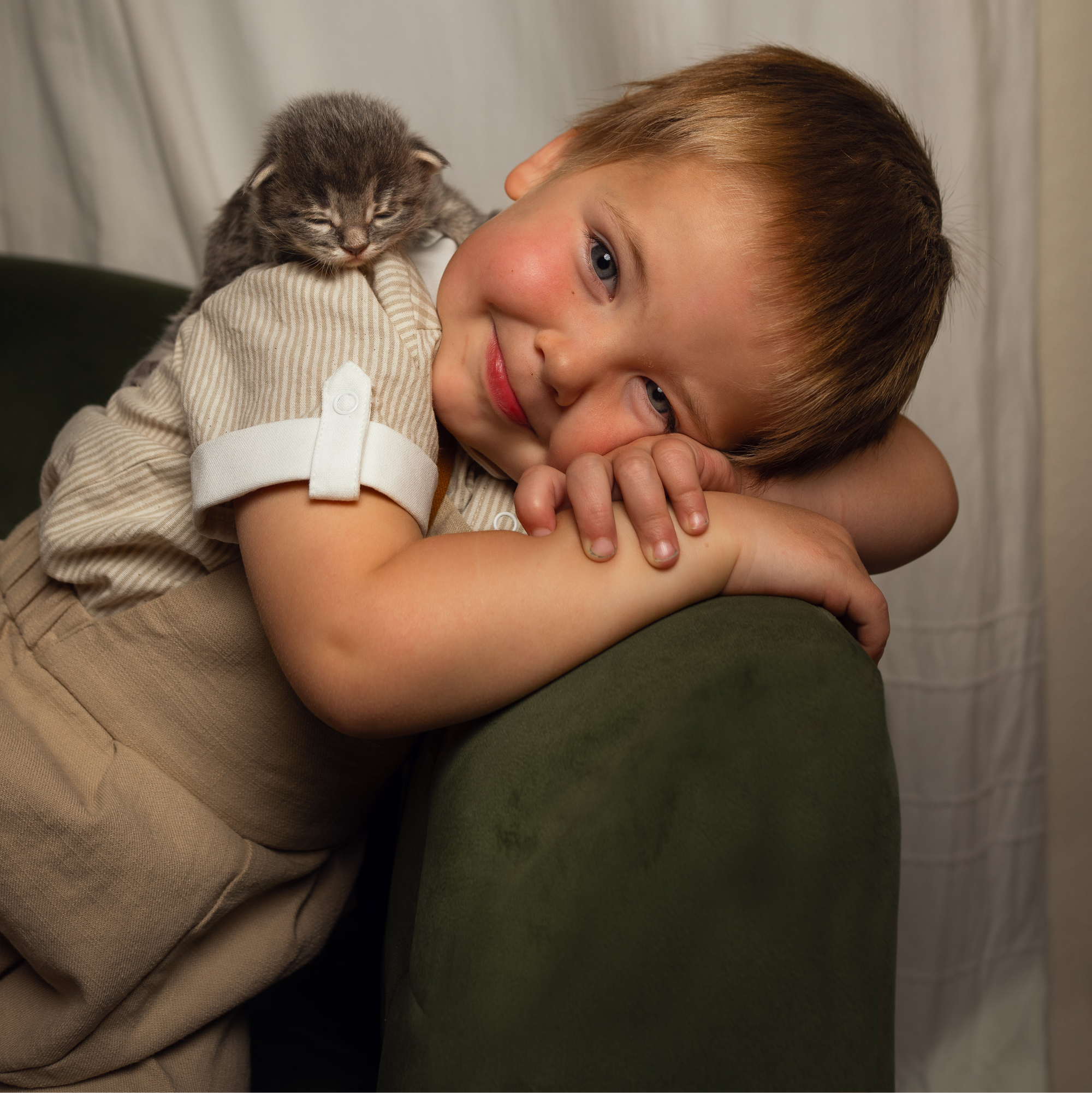Child holding a small gray kitten on a white background
