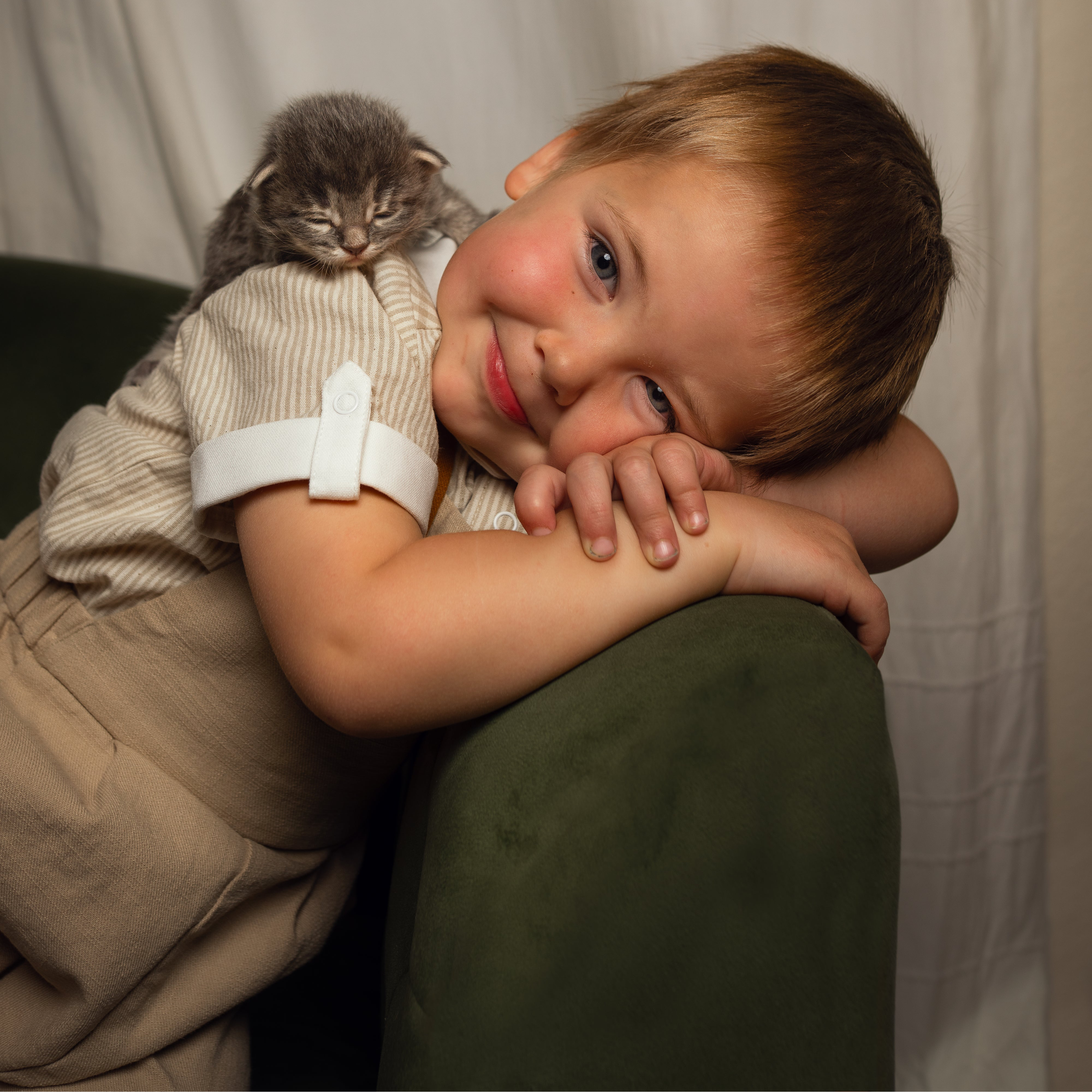 Child holding a small gray kitten on a white background
