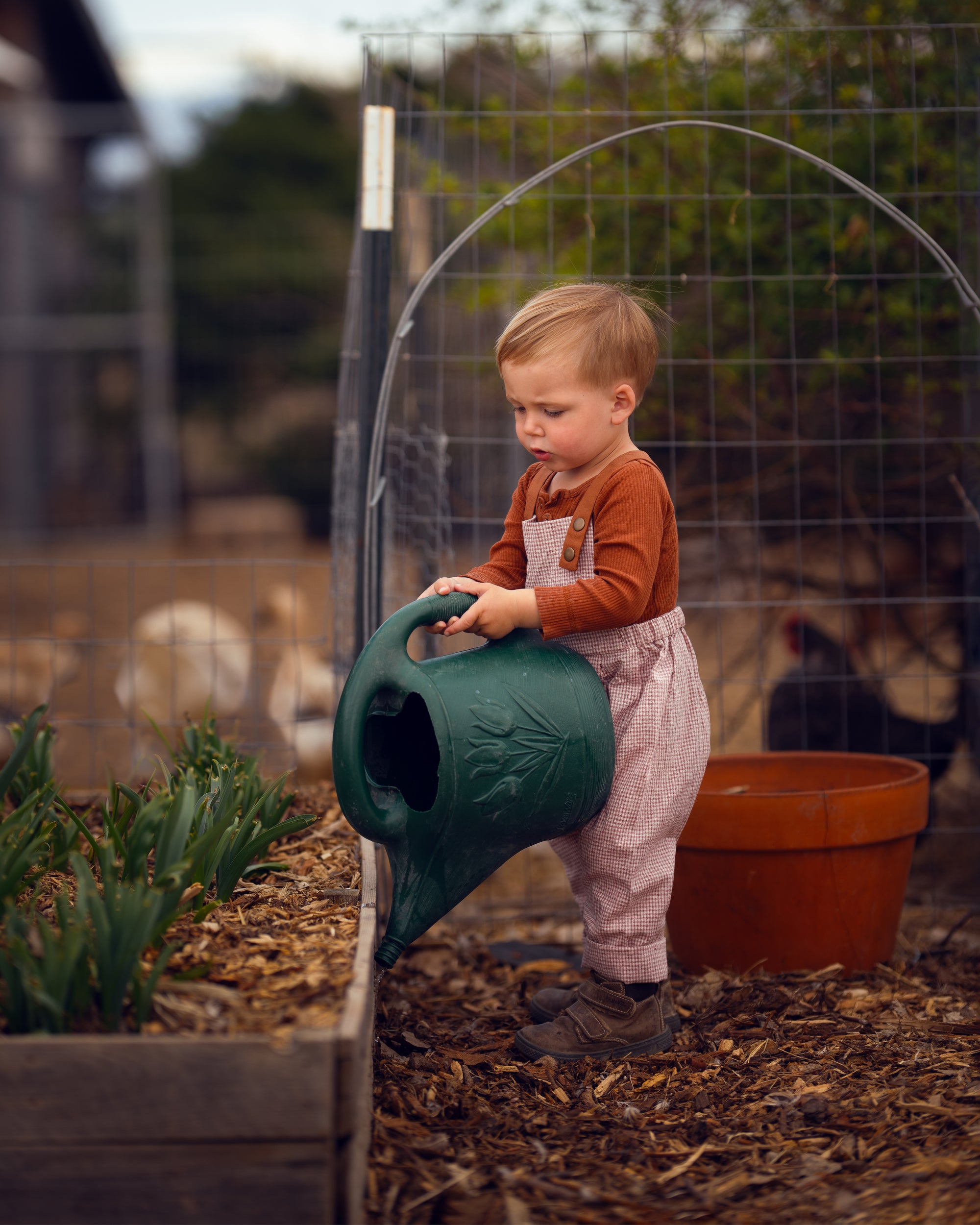 little boy in checkered overalls watering plants