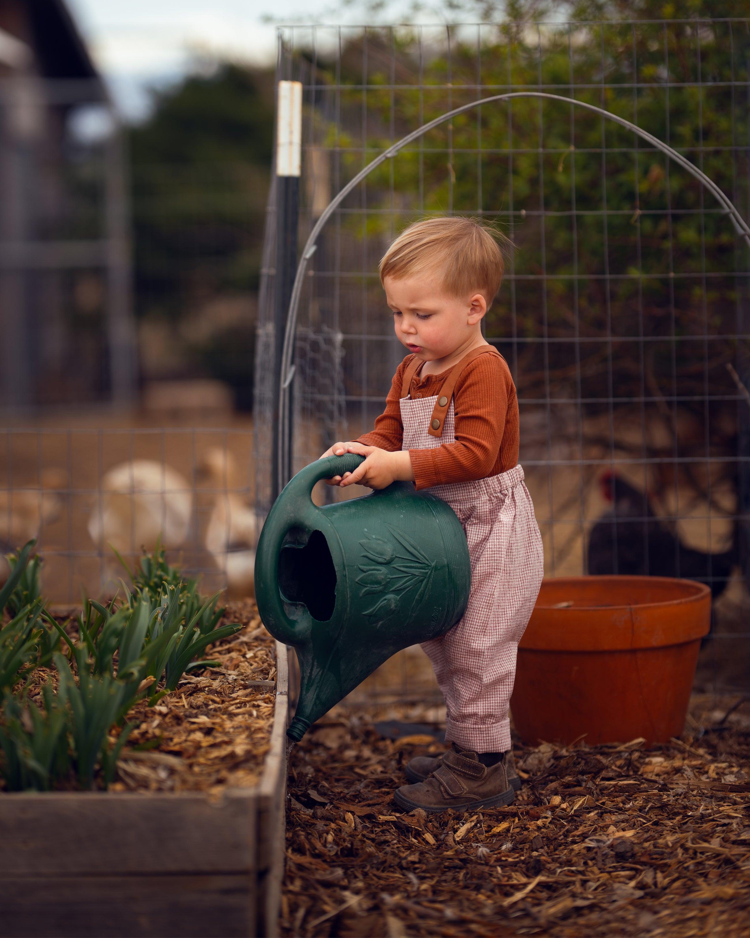 little boy in checkered overalls watering plants