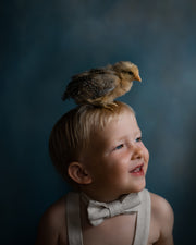 A young toddler with blond hair, wearing a beige bow tie and suspenders, looking upward with a small brown and yellow chick perched on his head against a dark blue studio background.