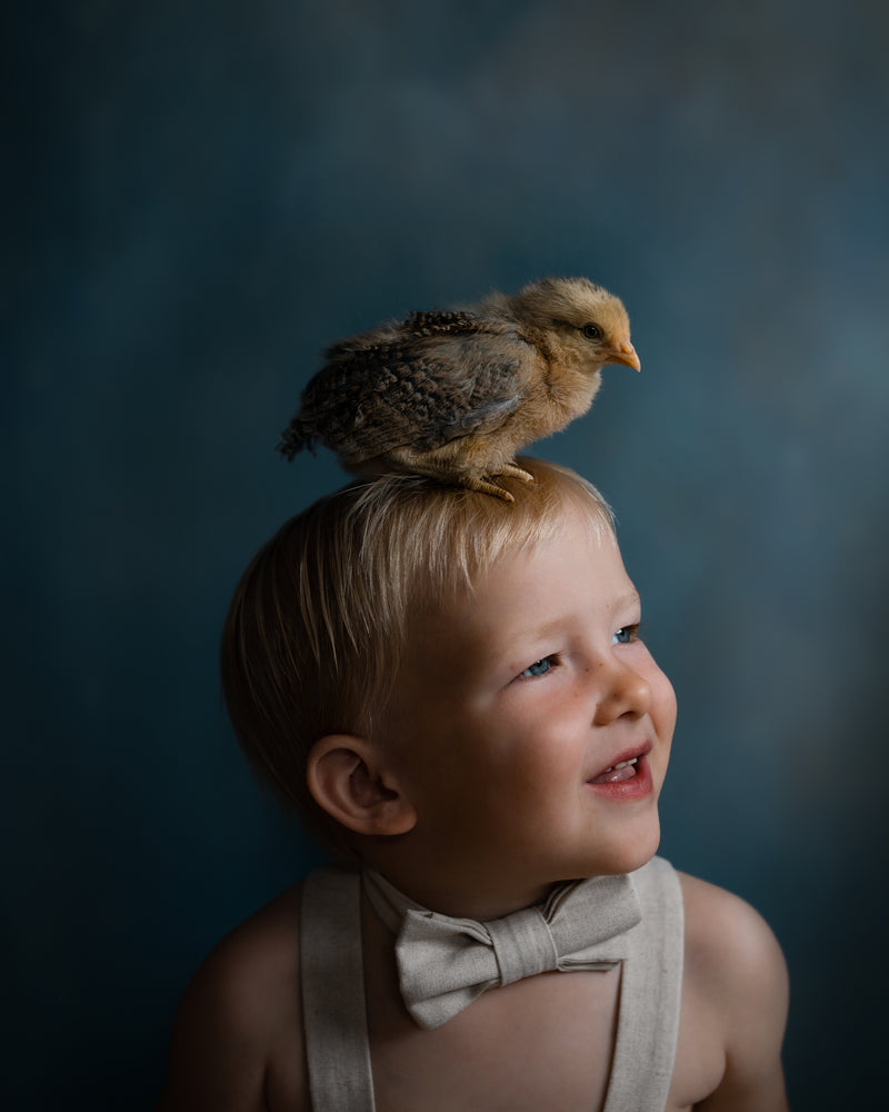 A young toddler with blond hair, wearing a beige bow tie and suspenders, looking upward with a small brown and yellow chick perched on his head against a dark blue studio background.