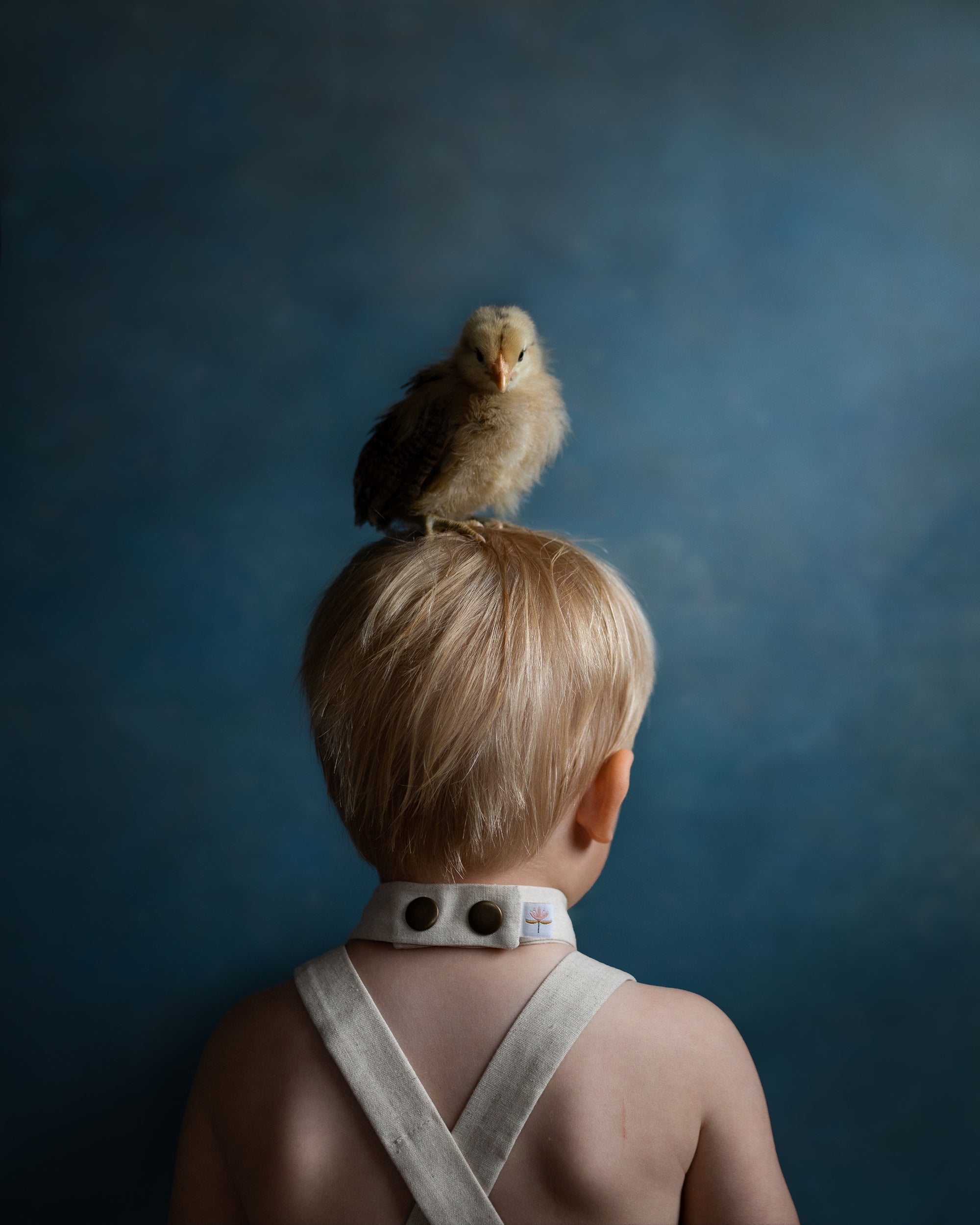 A young child seen from behind wearing a white neck brace, with a small fluffy chick perched on the child's head, set against a dark blue textured studio background.