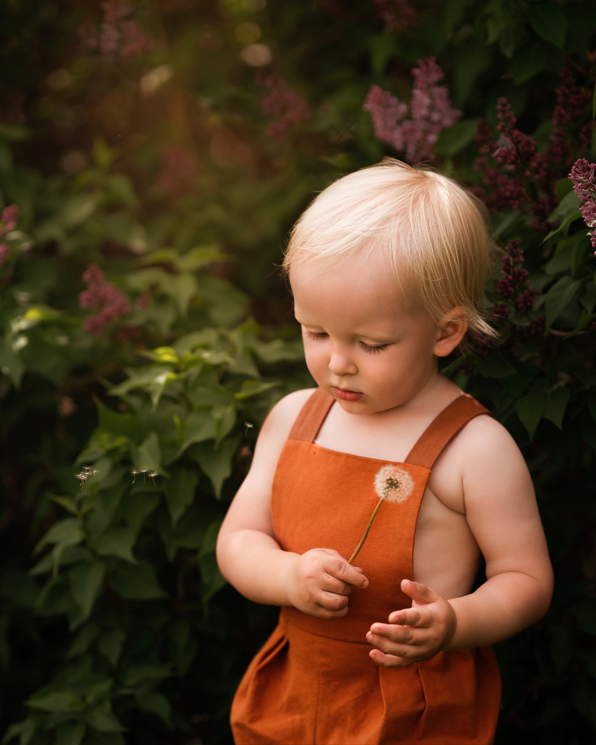 Model boy picking flowers with a clam sweet expression in Burnt Orange Short Overalls - This image highlights the boy’s comfort and showcases the details of the stylish design of the shortalls.
