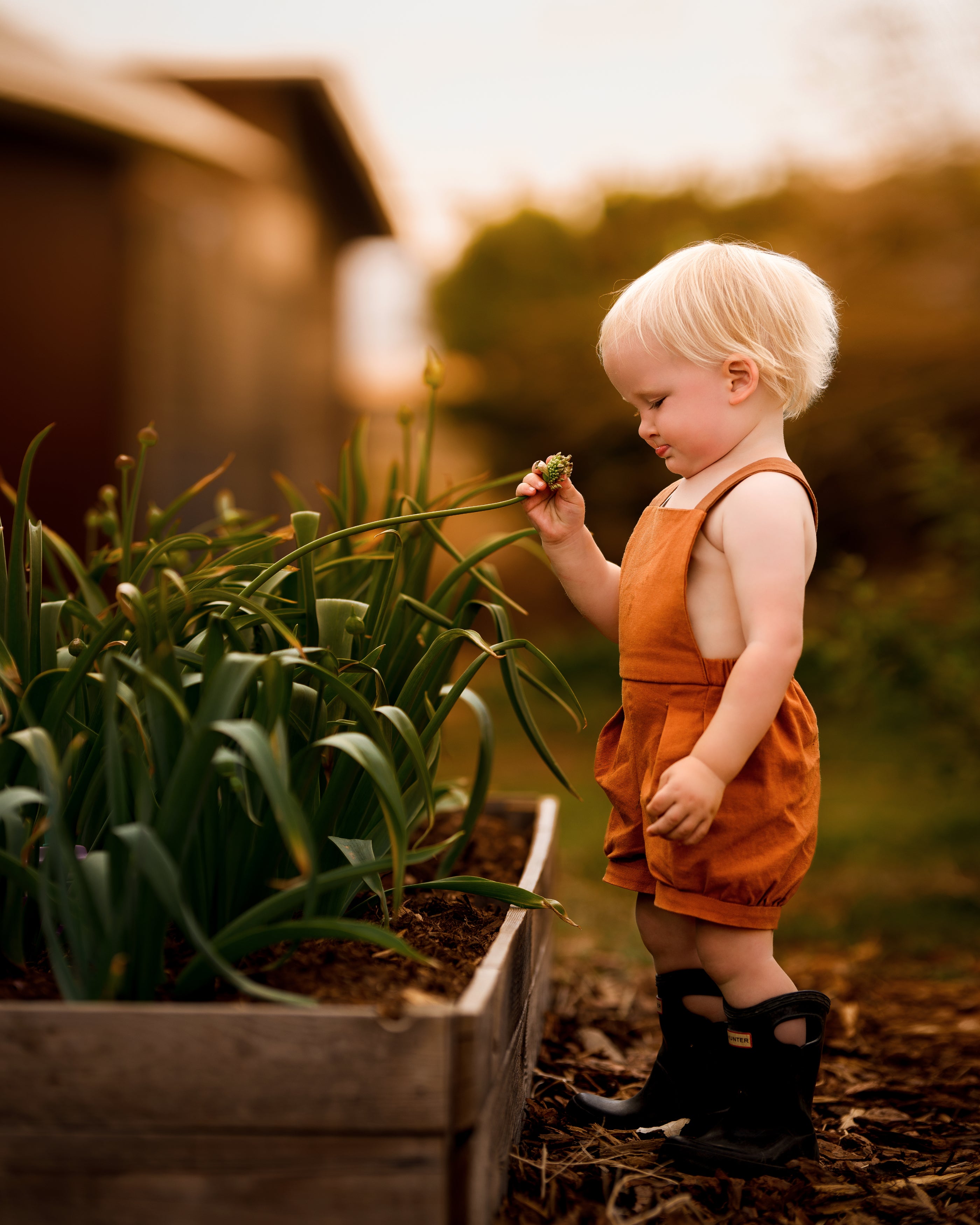 Model boy picking flowers in Burnt Orange Short Overalls - This playful image features the boy engaged in a fun activity, showcasing the comfort and style of the shortalls in a natural setting.