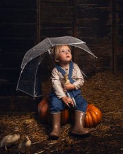 A young child sits on pumpkins in a barn holding a clear umbrella, wearing blue overalls, a light patterned shirt, and brown rain boots, with straw on the floor and two ducks in the foreground.