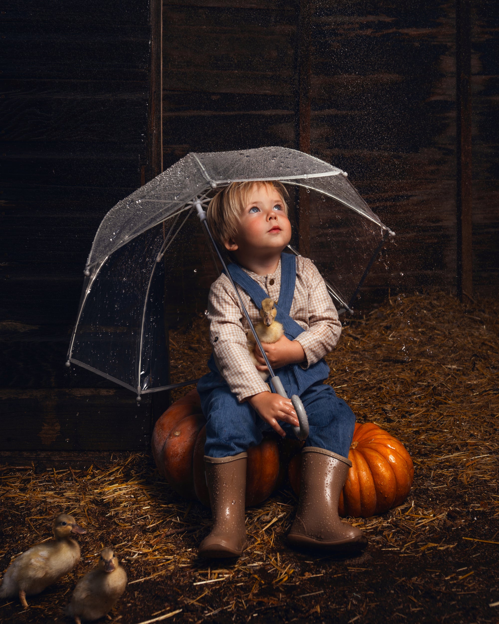 A young child sits on pumpkins in a barn holding a clear umbrella, wearing blue overalls, a light patterned shirt, and brown rain boots, with straw on the floor and two ducks in the foreground.