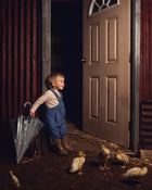 A young child in blue overalls and brown boots stands in a doorway holding a clear plastic umbrella, looking at several small yellow ducklings on a dirt floor inside a rustic barn.