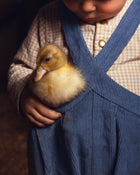 A close-up lifestyle shot of a young child wearing blue corduroy overalls and a beige-and-white checkered shirt, holding a fluffy yellow duckling in their hands.