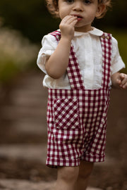 A toddler wearing red and white gingham check bib shorts over a white short-sleeve shirt, standing outdoors with a blurred natural background.