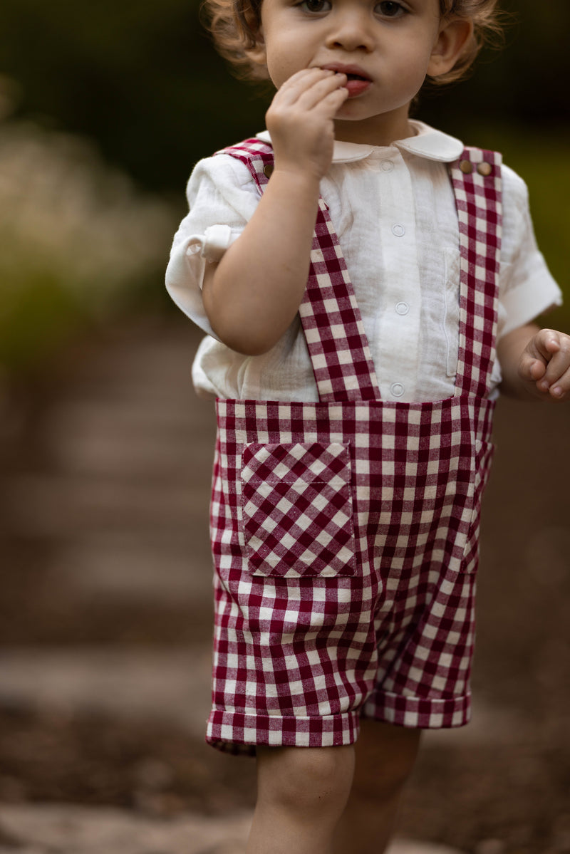 A toddler wearing red and white gingham check bib shorts over a white short-sleeve shirt, standing outdoors with a blurred natural background.