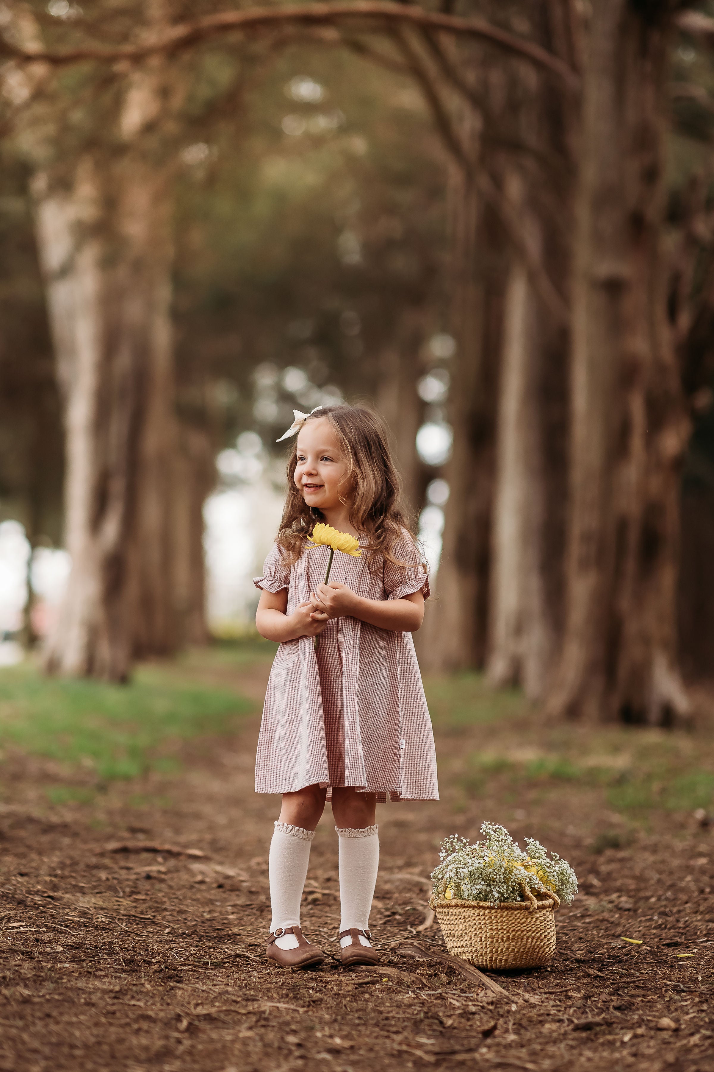 Rust Gingham Short Sleeve Dress